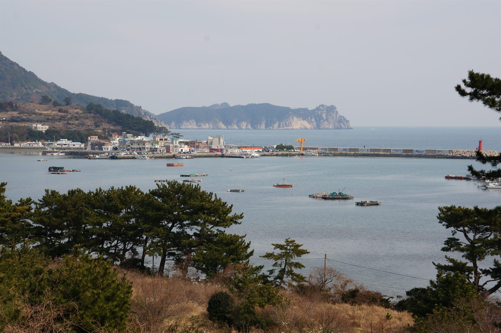 양식장이 떠 있는 만과 항구 마을